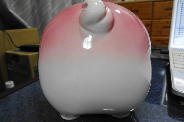 DSC01204.JPG