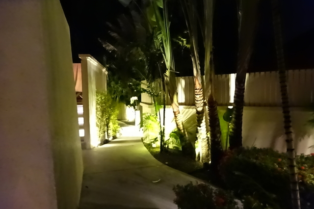 DSC03602.JPG