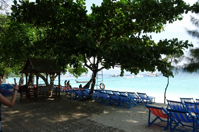 DSC03780.JPG