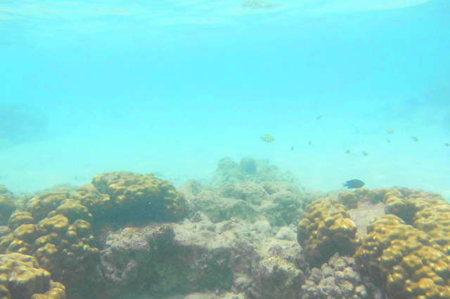 DSCI0240.JPG