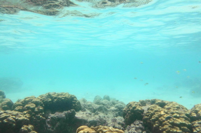 DSCI0239.JPG