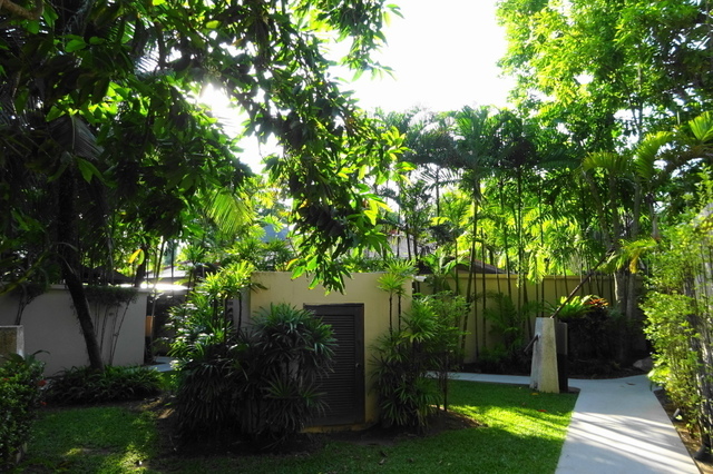 DSC03893.JPG