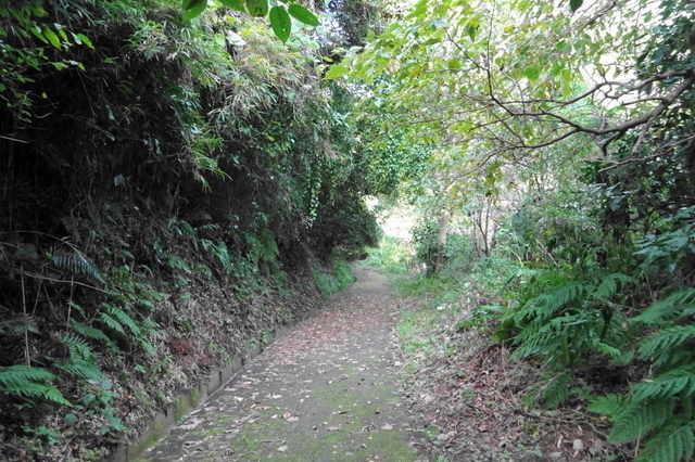 DSC04509.JPG