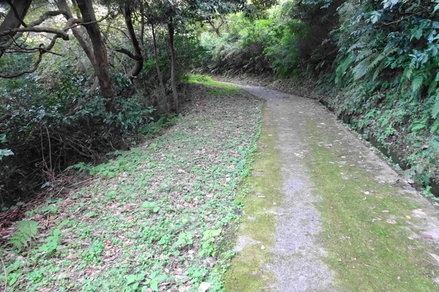 DSC04514.JPG