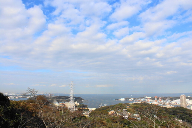 IMG_3925.JPG