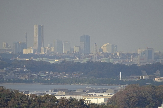 DSC04553.JPG