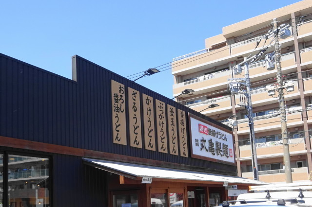 DSC06290.JPG