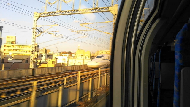 IMG_20201115_153751.jpg