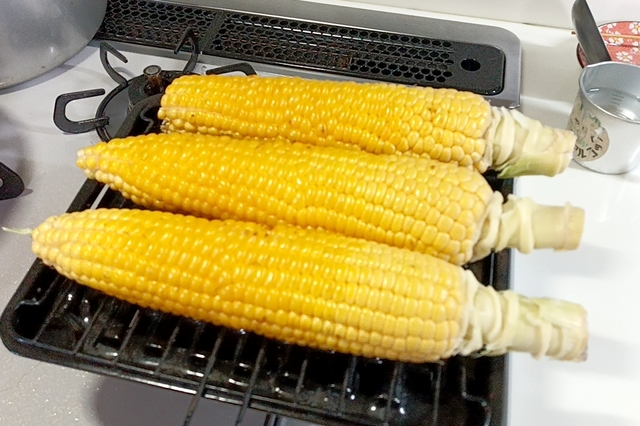 20220728_174828110.jpg