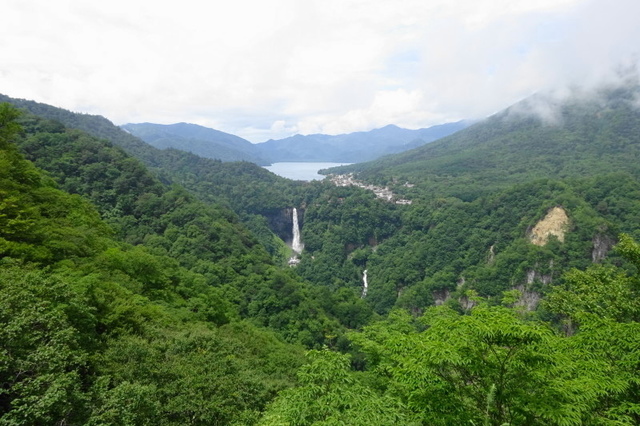DSC03698.JPG