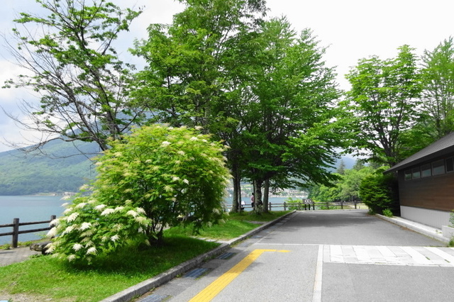 DSC06128.JPG
