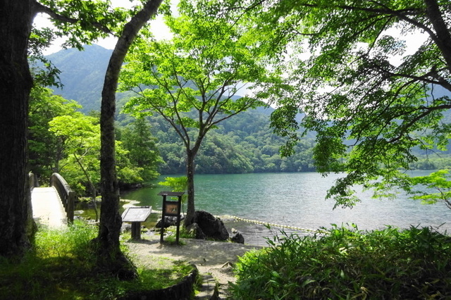 DSC06140.JPG