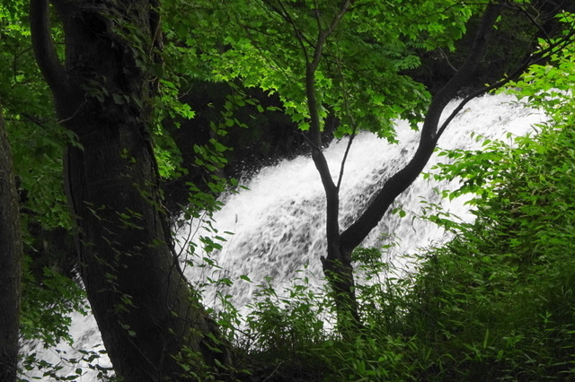 DSC06143.JPG